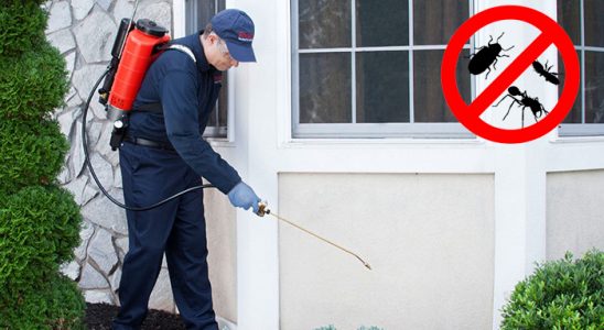 Basınsitesi Kemirgen İlaçlama böcek ilaçlama ve haşere kontrolü — ilaclama-tr.com